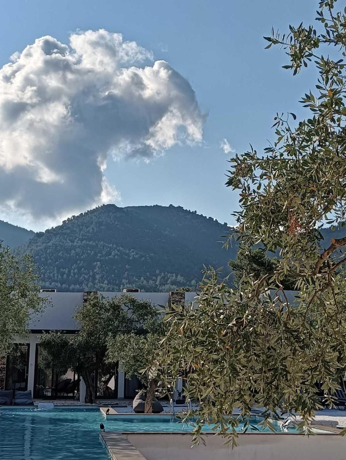The Olive Hills Hotel Skala Rachoni  Exterior foto